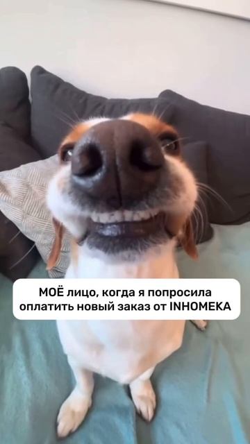 Хочешь получить товары нашего бренда бесплатно? Читай в описании