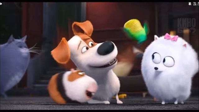 играю и записываю