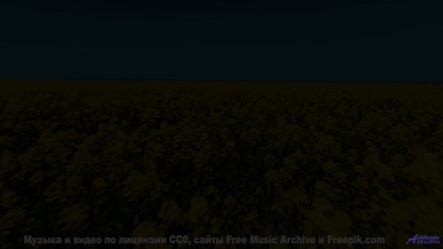 Почему в этом лесу нет птиц - I Dont Wanna Fall In Love -- Fascinations Grand Chorus -- Live at Mont