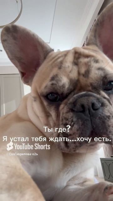 Ты где? Я уже хочу есть.