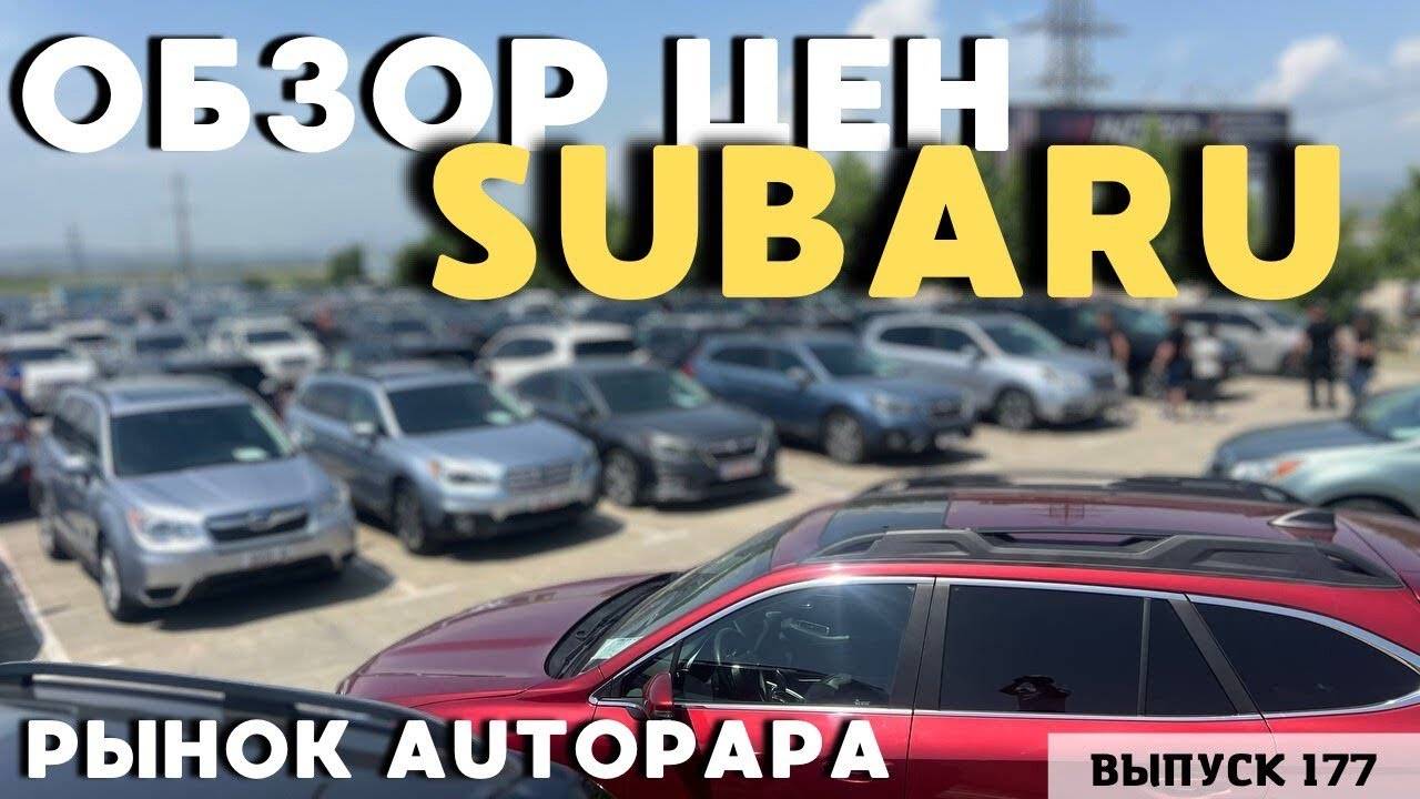 Рынок Автопапа. Обзор цен SUBARU. АвтоТур в Грузию.