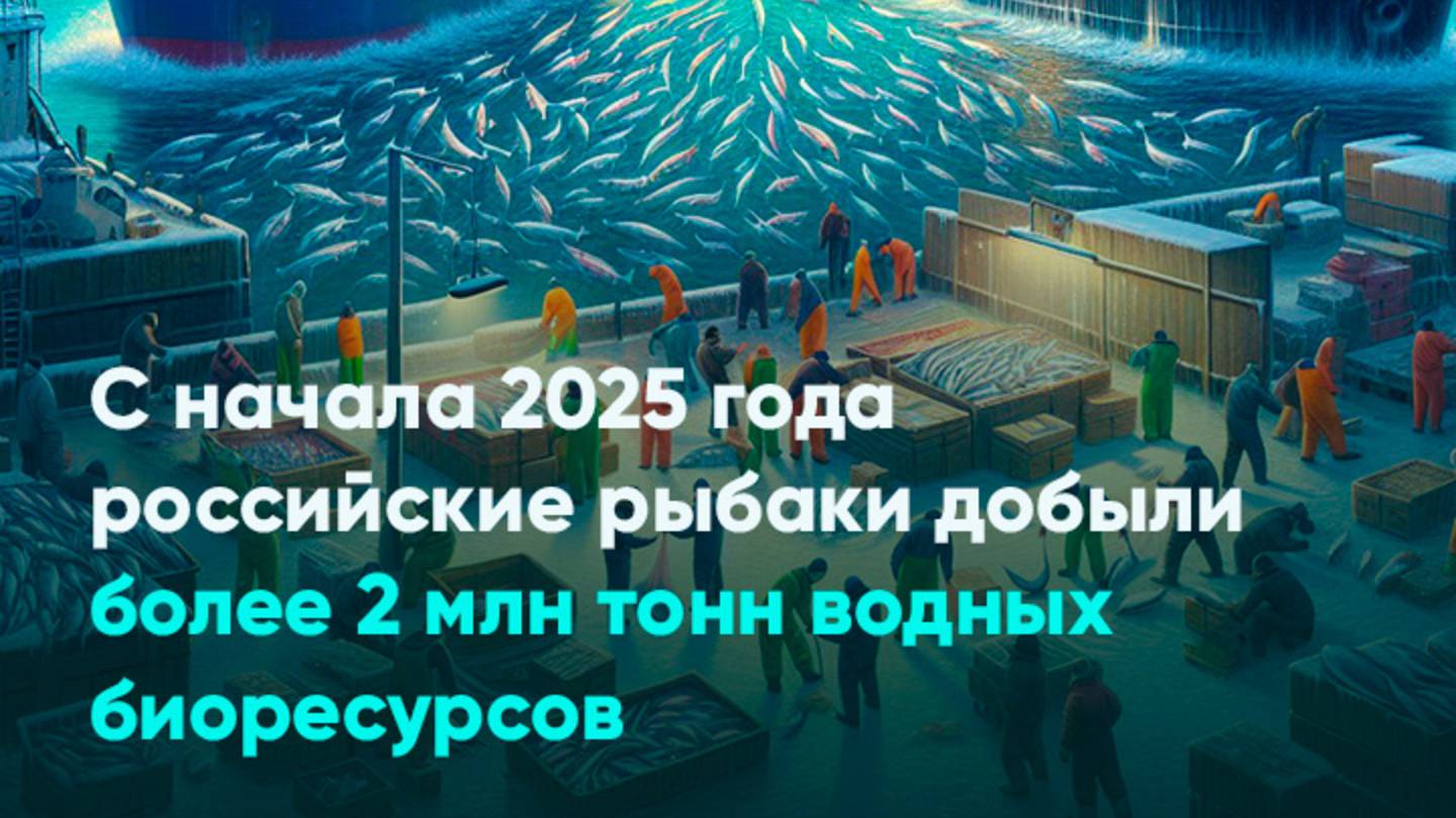 С начала 2025 года российские рыбаки добыли более 2 млн тонн водных биоресурсов