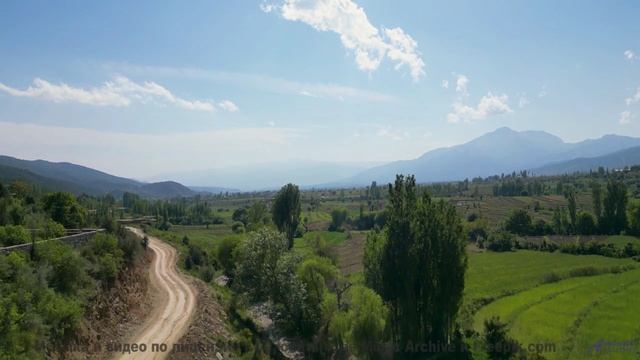 Ты почувствуешь, как мир становится добрее после просмотра! - Insensate -- Strobotone -- Flashback F