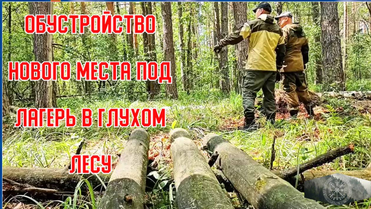 ОБУСТРОЙСТВО НОВОГО МЕСТА ПОД ЛАГЕРЬ В ГРУХОМ ЛЕСУ ПЕШИЙ ПВД В ЛЕС С ДРУГОМ 🌲 ДИКИЕ "СОСЕДИ" 🌲🏕🌲