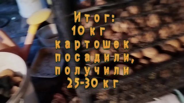 Завершен сбор картошек(Итог)