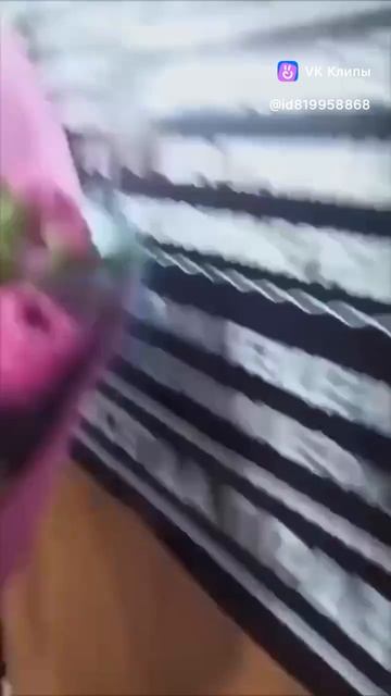Поздравление с фронта😁
