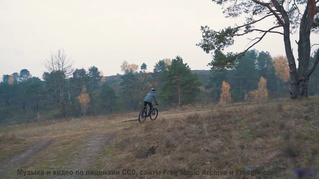 Звуки, открывающие порталы в другие измерения - готовы ли вы к путешествию - Lip Gloss -- SUPERARE -