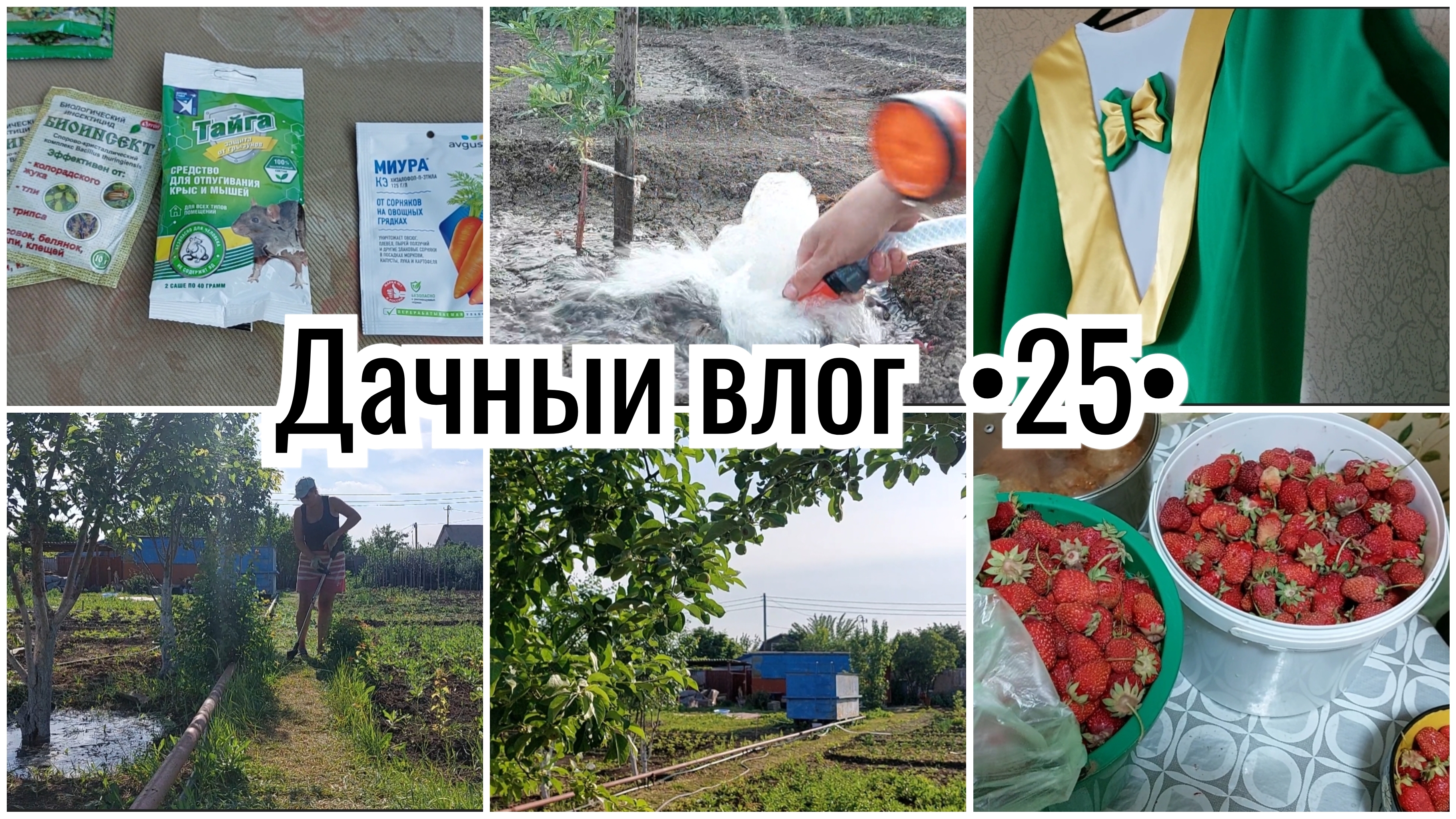 ПЛОДОТВОРНАЯ РАБОТА В САДУ 🔥 НОВИНКА. УЮТ. Угоманись Наташа! Очень интересный влог получился 💪😊