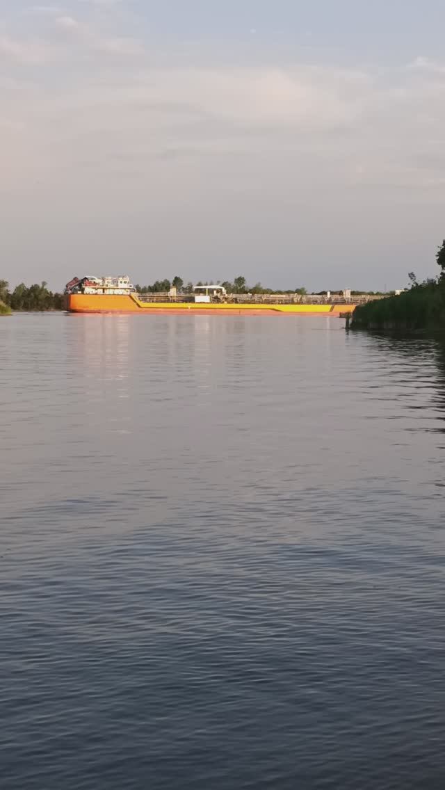 Троицу провели на Дону. С праздником!