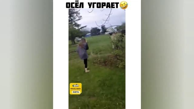 Супер приколы 56