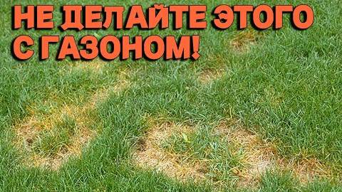 7 табу в уходе за газоном — главные ошибки, которые могут уничтожить ваш газон, и как их избежать