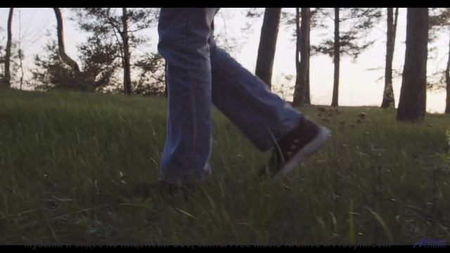 Леса открываются, как книга, под этот трек - Indigo Wild -- Blue Sky Moon -- Prophet and Loss