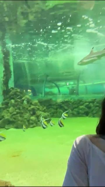 VID-20250504-WA0076