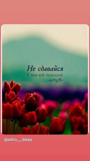 Аффирмация дня 
#аффирмации #убеждения #аффирмациянакаждыйдень #аффирмациядня #благодарность