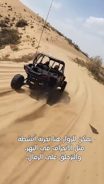 🏜 «Магия пустыни»