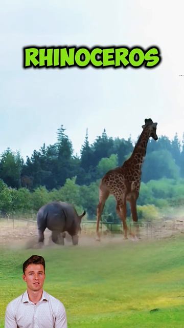 TeX_81GKzNs - Where fear ends 🔥🔥motivational shorts #viral 🔥🔥#jidagi #mushkil #khosla  #animals
