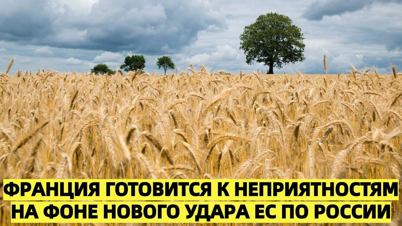 Франция готовится к неприятностям на фоне нового удара ЕС по России