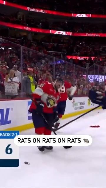 Brad Marchand Gets Pelted By Rats After Panthers Game 3 Win