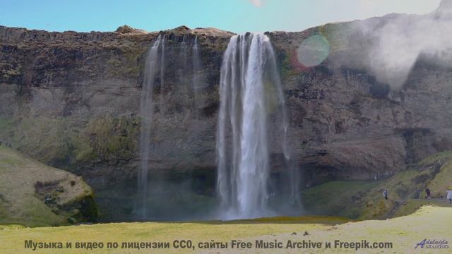 Почему эту мелодию называют музыкой просветления - Каракатица -- Александр Недугин -- Яжык Эжопа