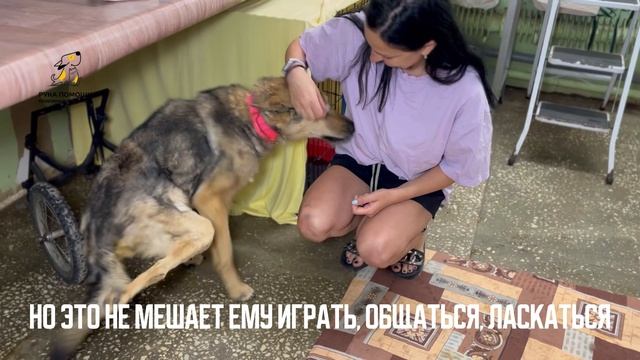 А у вас все дома? Поддержать⬇️