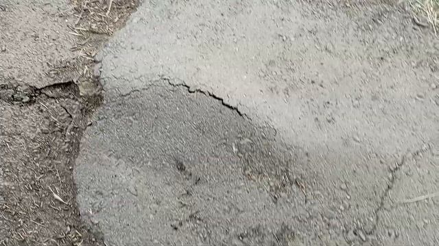 ГРОЗЫ Перед грозой гуляем в грозовой жаркий день в ожи