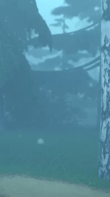 1000073161.mp4