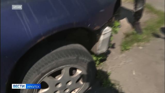 Живой уголок. Житель Иркутска снова обнаружил на своей машине гнездо трясогузки