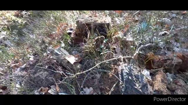 ПАРТИЗАНСКАЯ РАЦИЯ. Я В ШОЦІ...#7