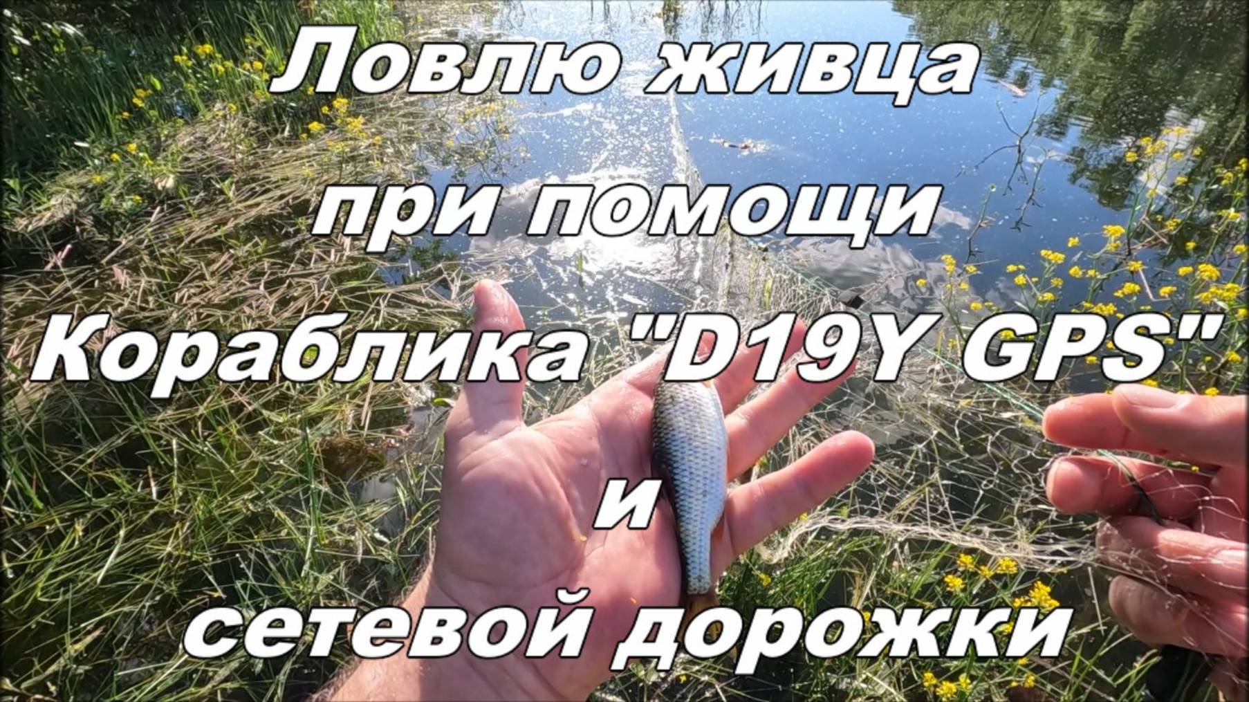 Ловлю живца при помощи кораблика "D19Y GPS" и сетевой дорожки.