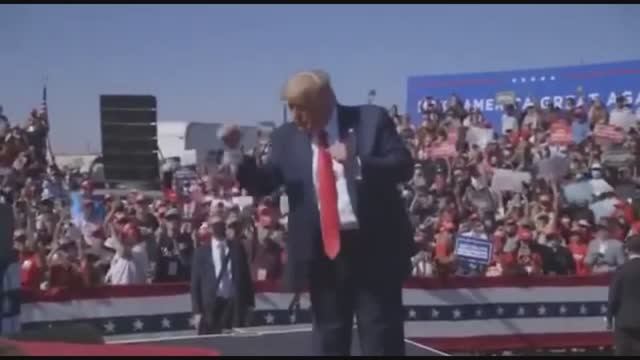 Dancing Трамп-Taco