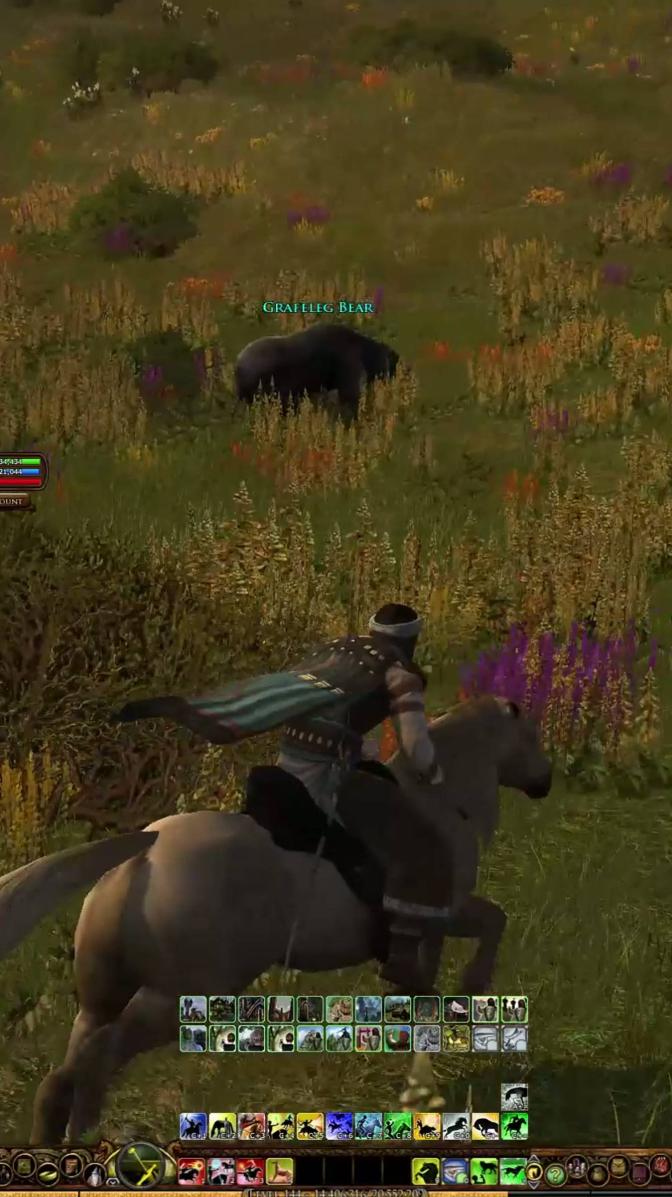 The Lord of the Rings Online, bear