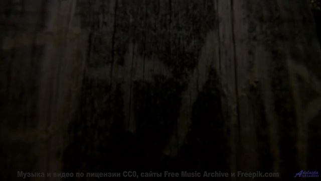 Музыка и виды вместе делают время ненужным - Curious Jungle -- Podington Bear -- Haplessly Happy (Bo