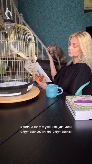 А что читал, проходил ты? 👇🏻Все мои программы психологические и книги на моей странице lizamoka.ru