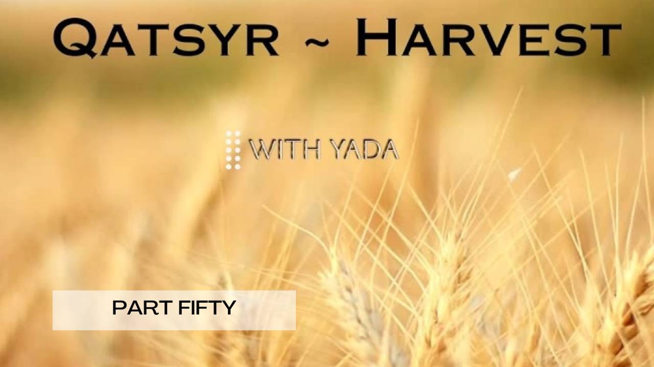 Qatsyr ~ Harvests Part Fifty 11 June 2025
