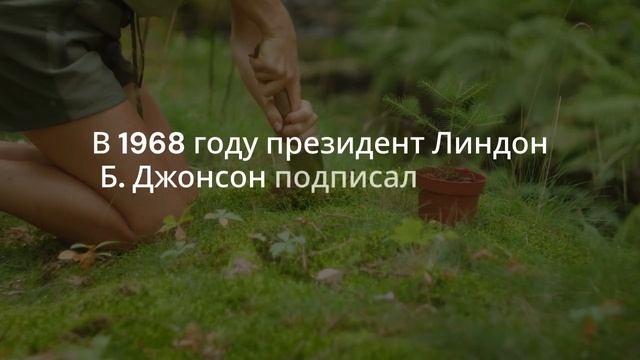 Аппалачской тропе