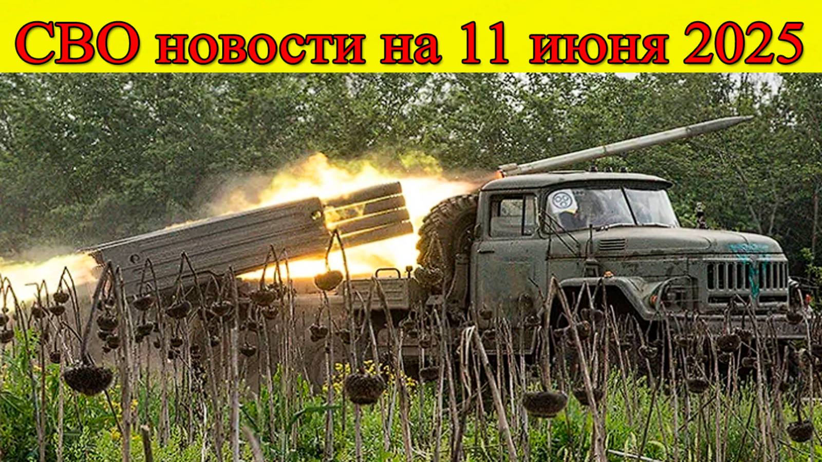 СВО новости на 11 июня. ВС РФ освобождают Новониколаевку. Последние новости