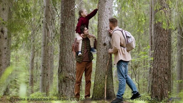 Адреналин гор и мощный бит! - Mushrooms -- HoliznaCC0 -- Chill Out