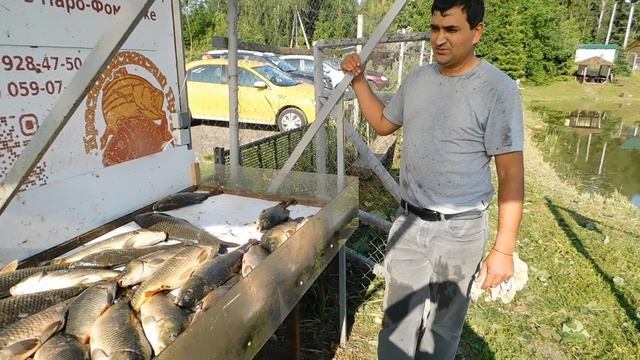 Отчет рыбака за 11 июня 2025