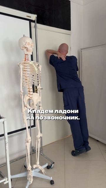 Упражнение от сутулости.