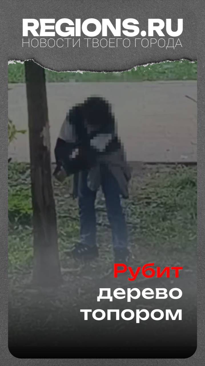 Рубит дерево топором