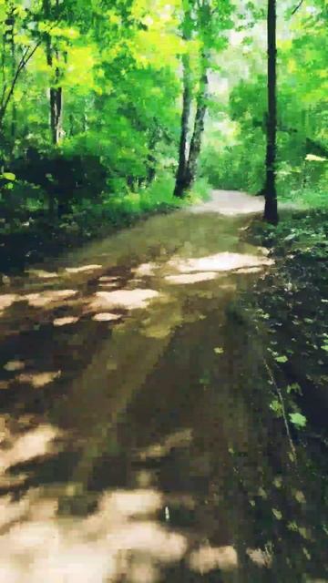 спорт🚴♀️ медитация 🧘 природа 🌳