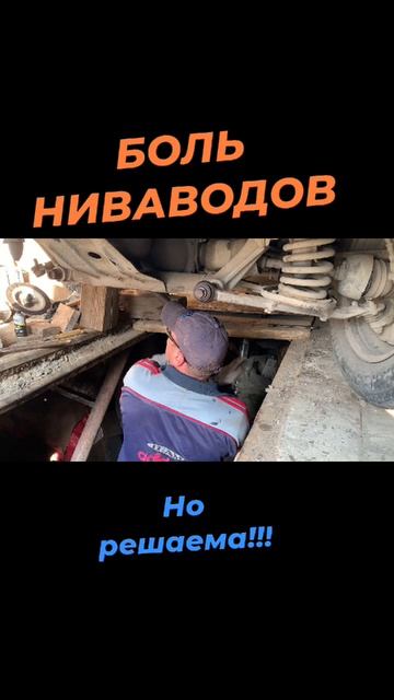 Миссия выполнима:НИЖНИЙ БОЛТ РЫЧАГА СНЯТЬ БЕЗ НАГРЕВА.Видос как позже.