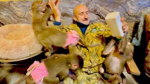 СМЕШНО! Накормить четырех гамадрил кашей из бутылки НУЖНО ПОСТАРАТЬСЯ)))