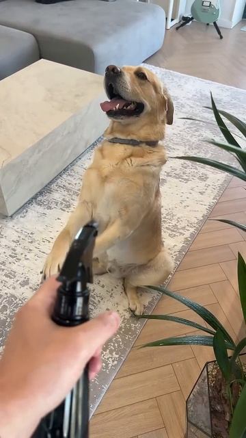 Актер