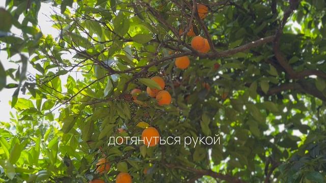 До старта продаж домов для россиян в Абхазии считаные дни