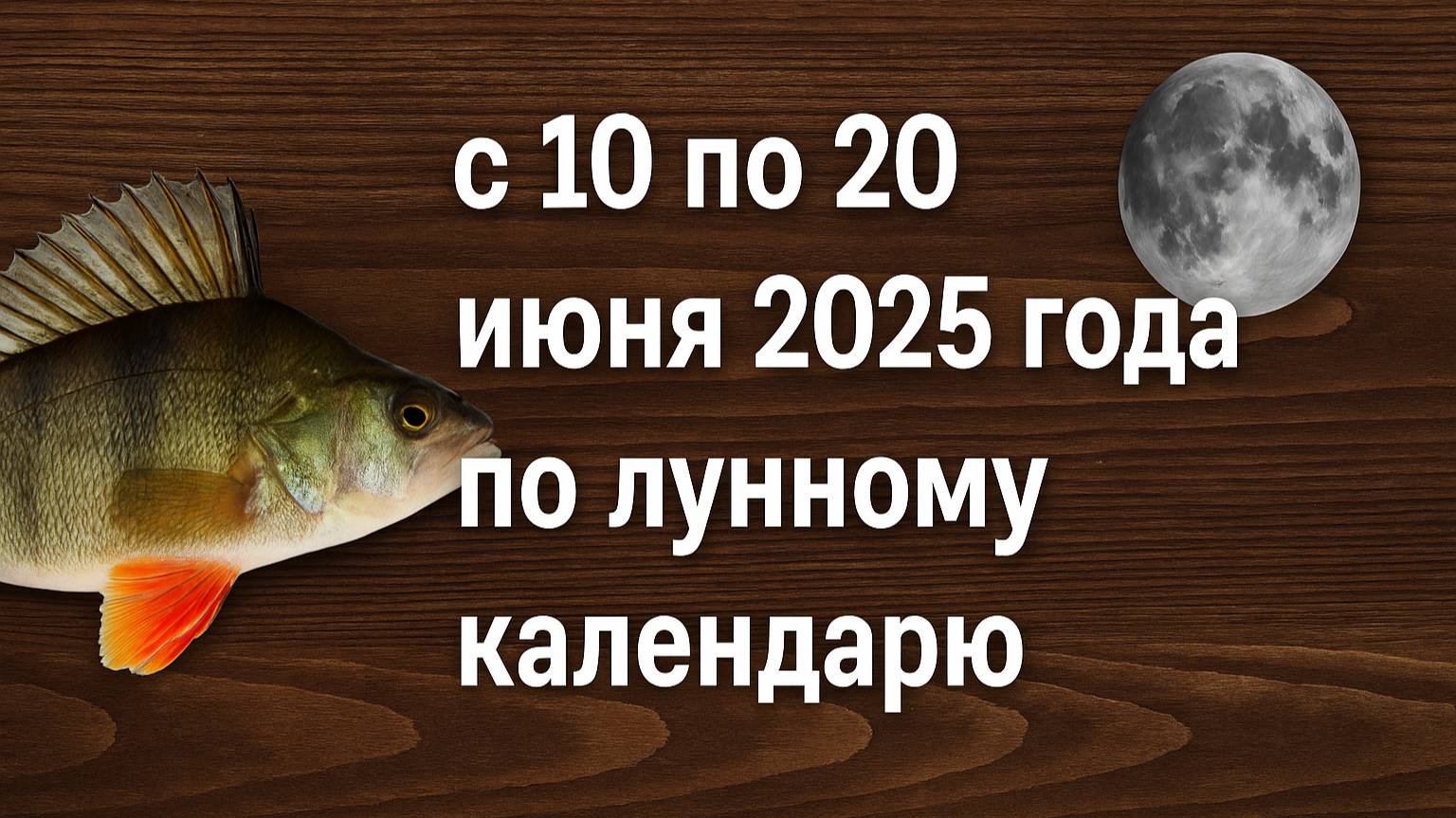Прогноз клёва рыбы с 10 по 20 июня 2025 года по лунному календарю