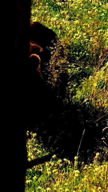 Моменты в объективе