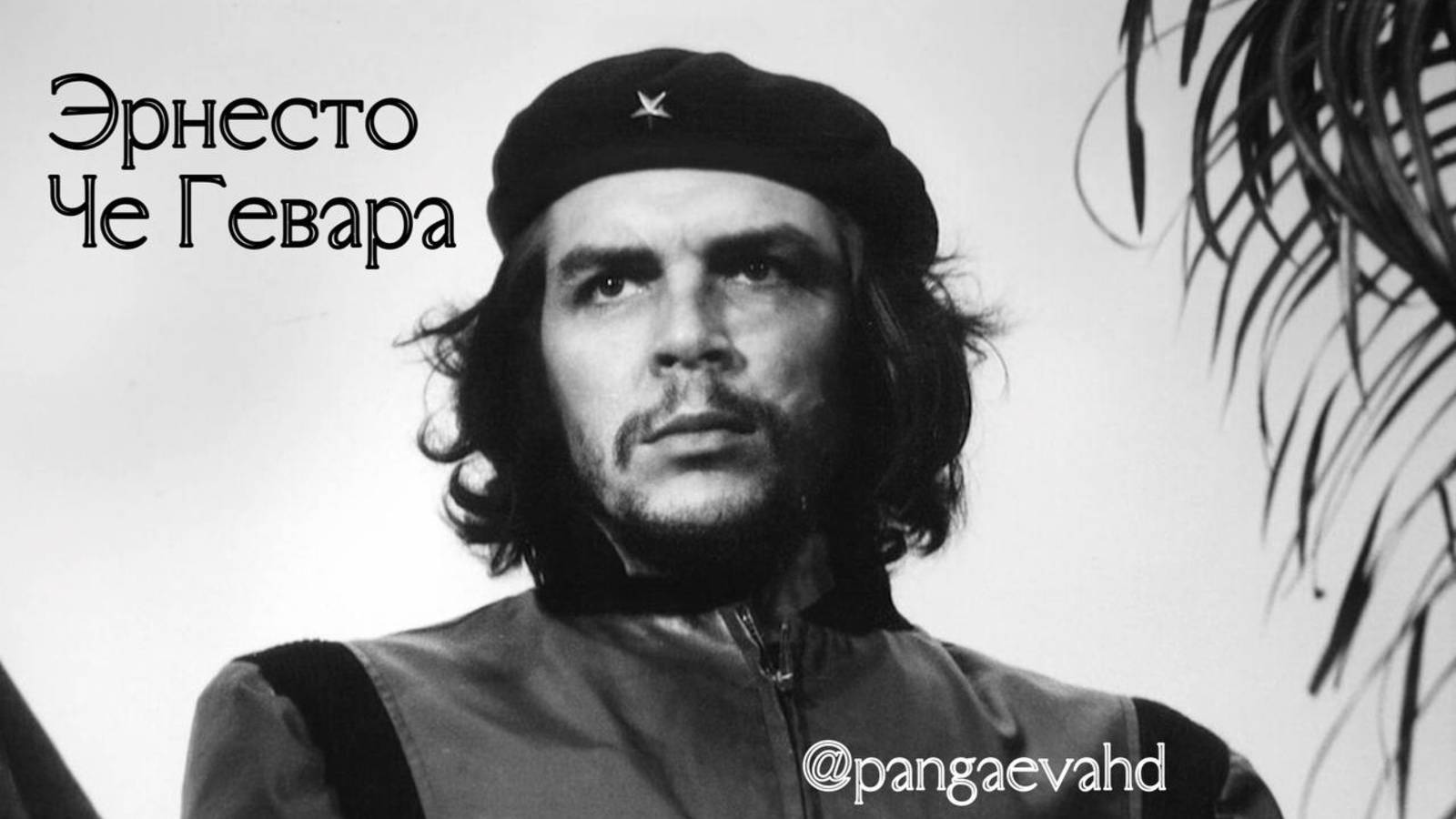 Эрнесто Че Гевара. Его история и механика ДЧ