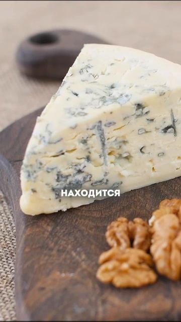 Сыр с плесенью убивает. Обсуждаем с доктором Циленко