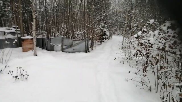 30.10.2023. Дача зимняя😁🥶🌨️🌨️🌨️🌨️